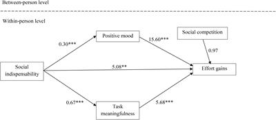 Effort Gains in Occupational Teams – The Effects of Social Competition and Social Indispensability